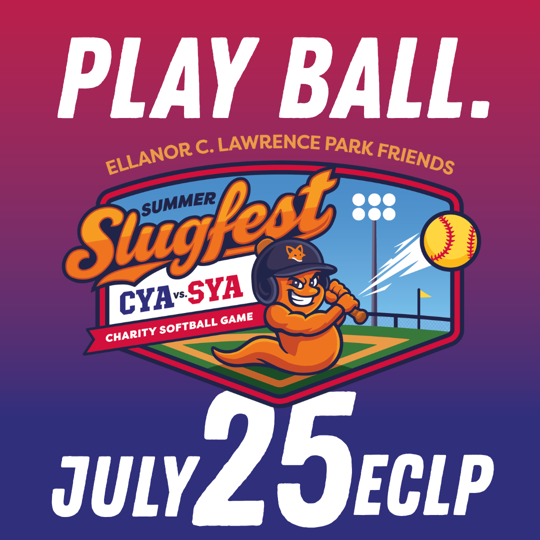 Pick Your Side: The CYA vs. SYA Charity Slugfest is Almost Here! supporting media